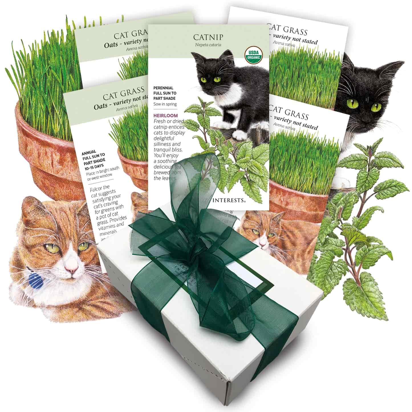 Cat Lovers Gift Set
